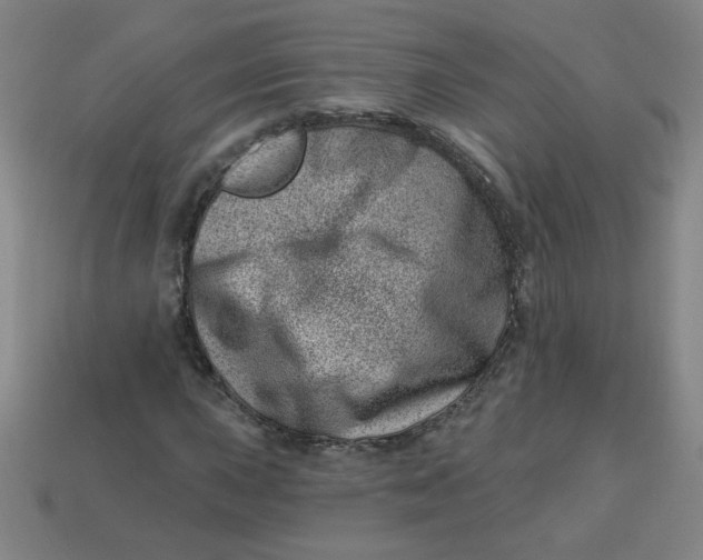 X0000113741015200910140959