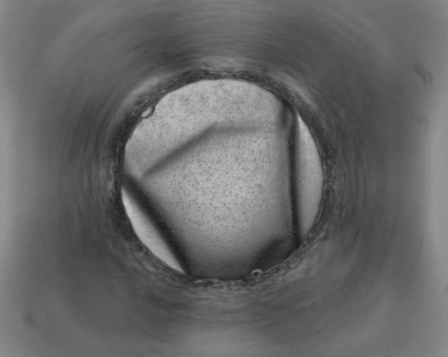 X0000113741016200910140959