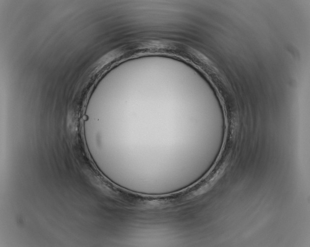 X0000113741017200910140959