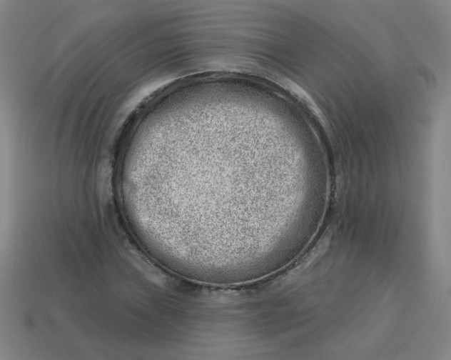 X0000113741019200910140959