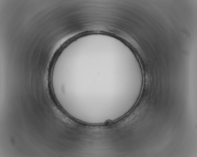 X0000113741020200910140959