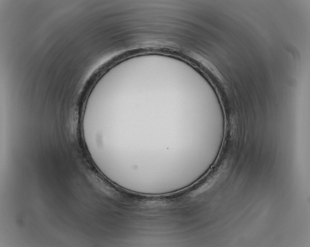 X0000113741021200910140959