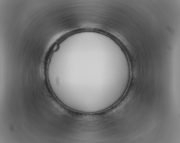 X0000113741022200910140959