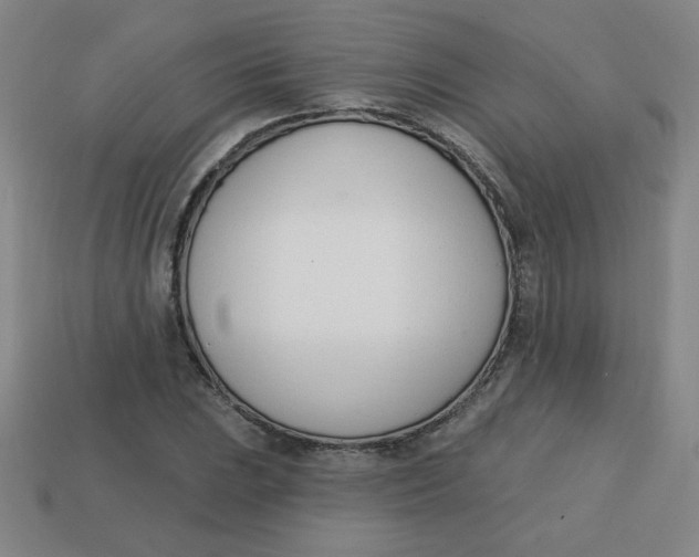 X0000113741023200910140959