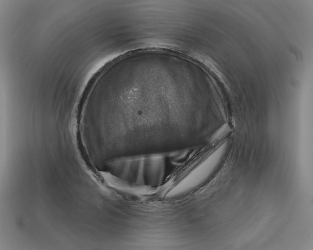 X0000113741024200910140959