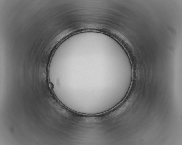 X0000113741025200910140959