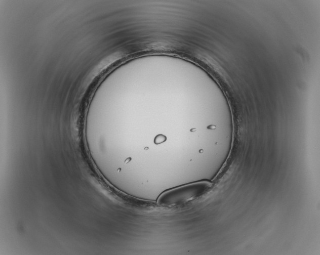 X0000113741026200910140959