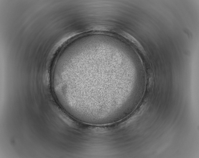 X0000113741027200910140959