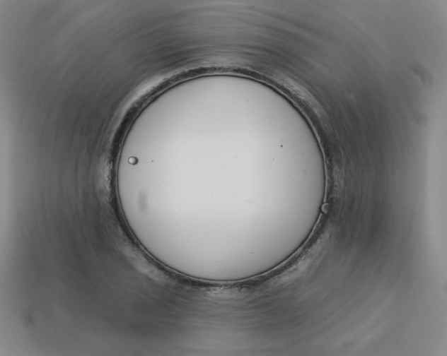 X0000113741029200910140959