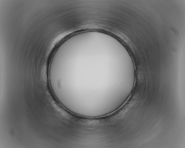 X0000113741030200910140959