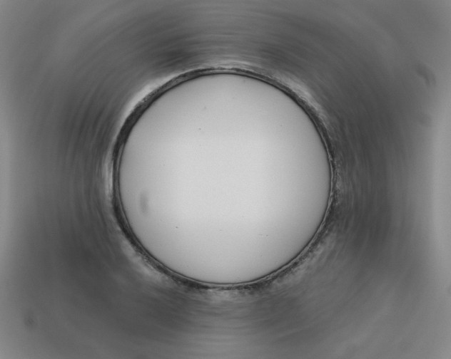 X0000113741032200910140959