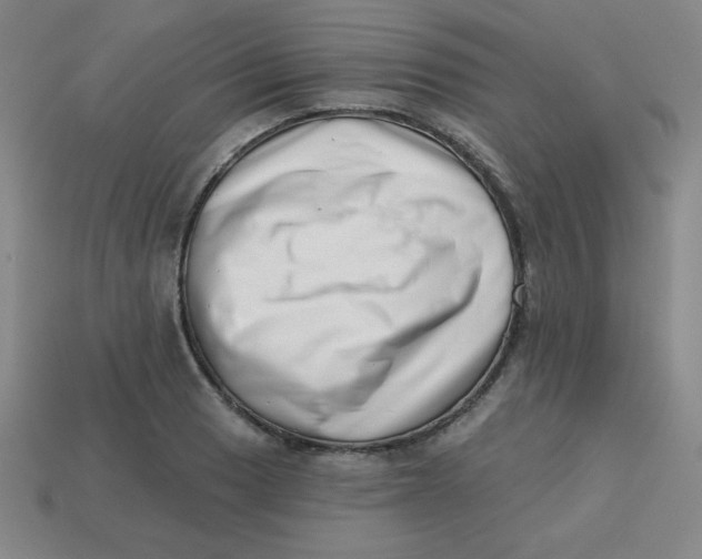 X0000113741033200910140959