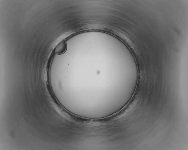 X0000113741034200910140959