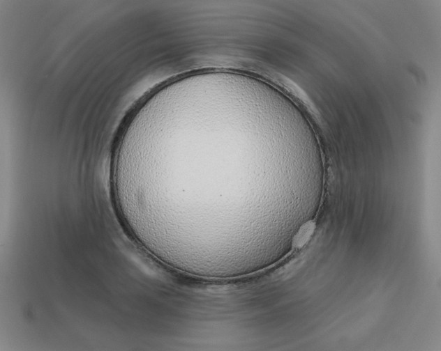 X0000113741035200910140959