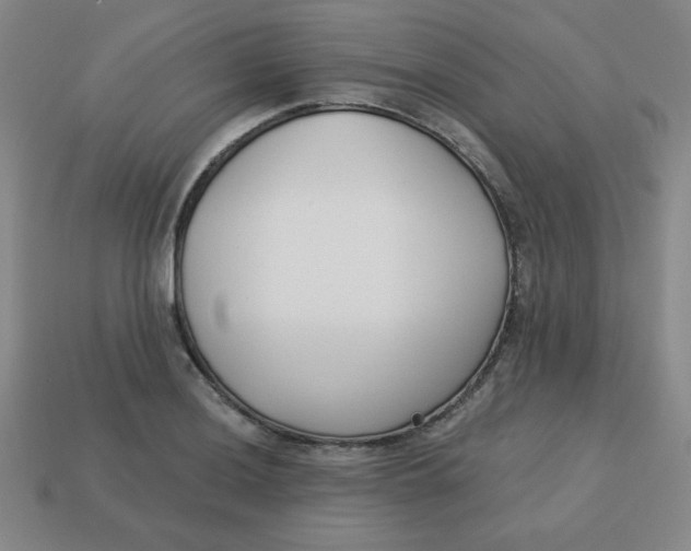 X0000113741036200910140959