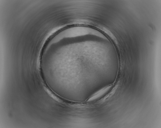 X0000113741037200910140959