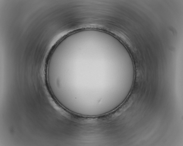 X0000113741038200910140959