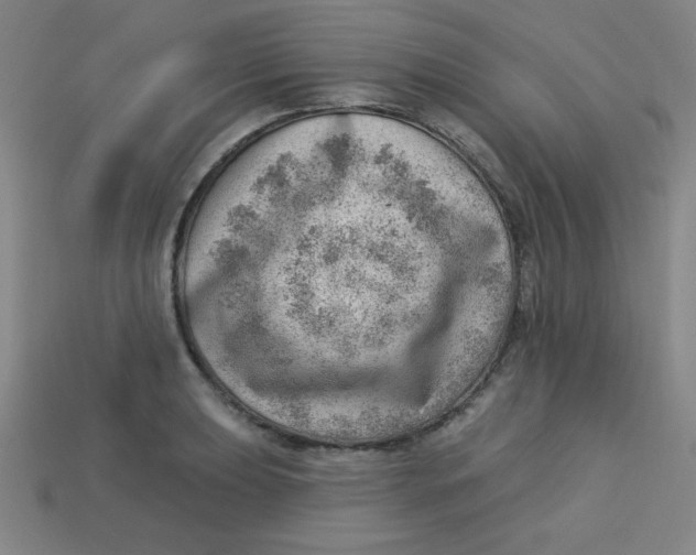 X0000113741039200910140959