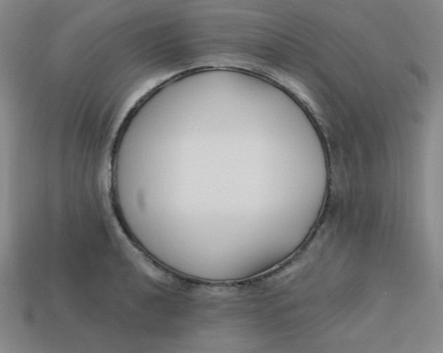 X0000113741040200910140959