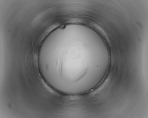 X0000113741041200910140959