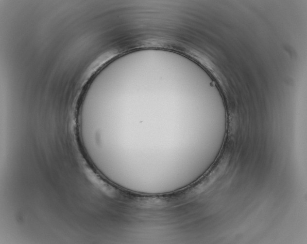 X0000113741042200910140959