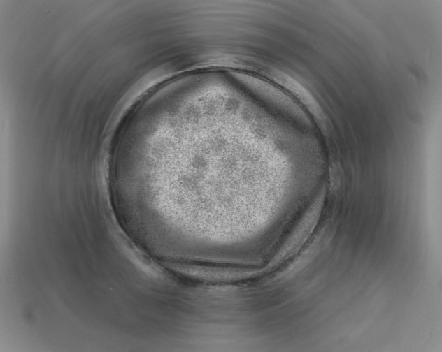 X0000113741043200910140959