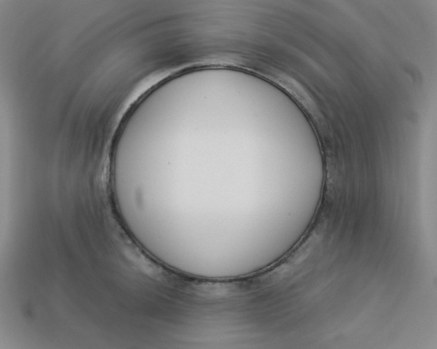 X0000113741044200910140959