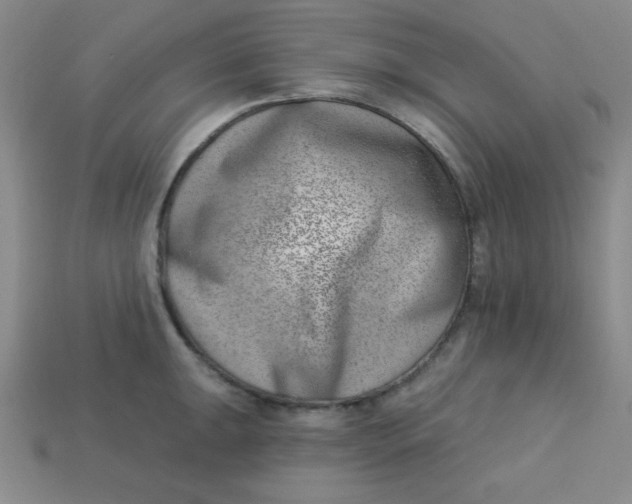 X0000113741047200910140959