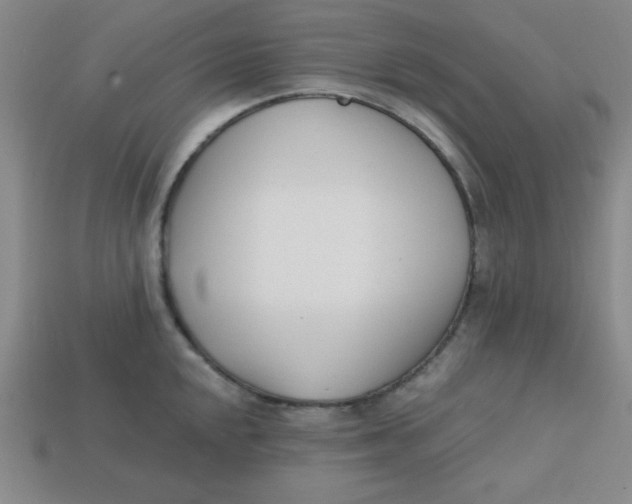 X0000113741048200910140959