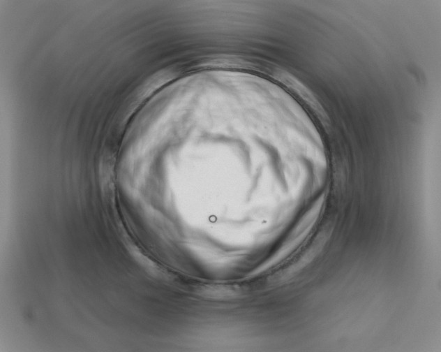 X0000113741049200910140959