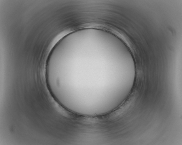 X0000113741050200910140959