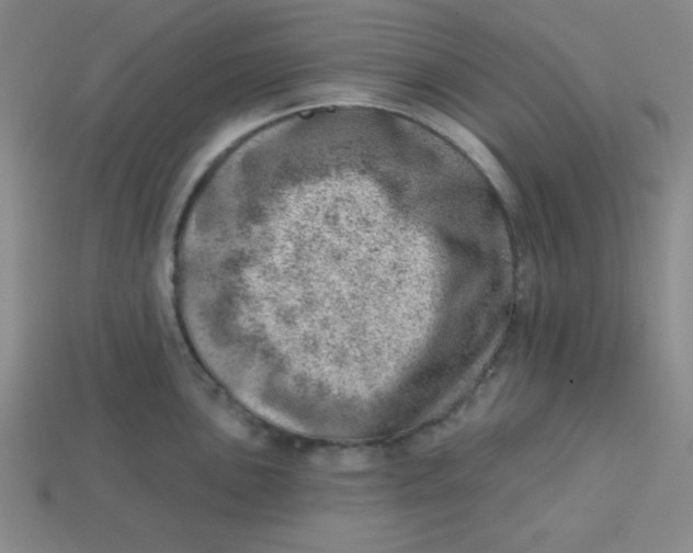 X0000113741051200910140959