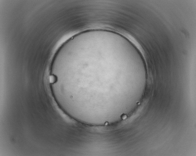 X0000113741053200910140959