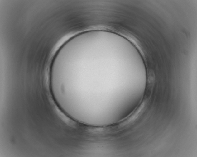 X0000113741054200910140959