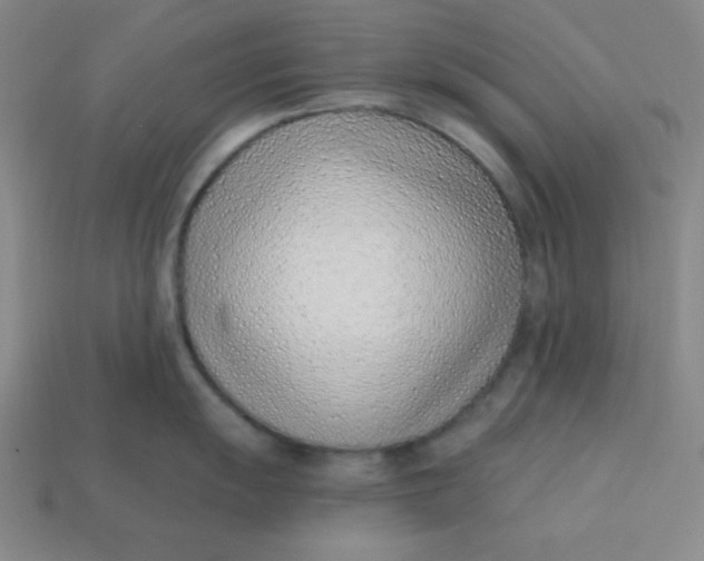 X0000113741055200910140959