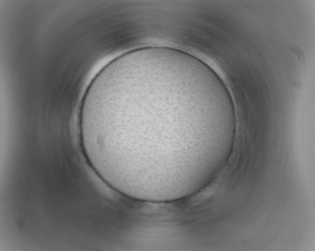 X0000113741056200910140959