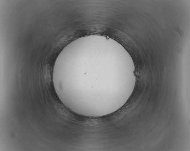 X0000113741058200910140959