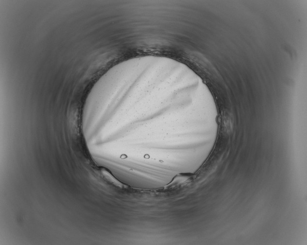 X0000113741060200910140959