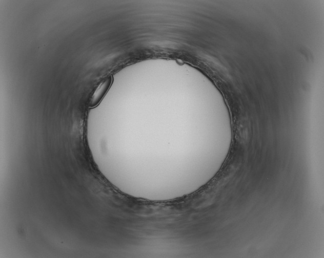 X0000113741061200910140959