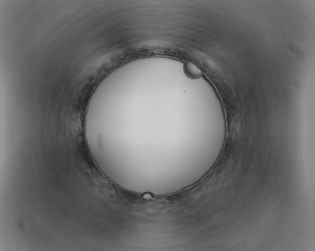 X0000113741062200910140959