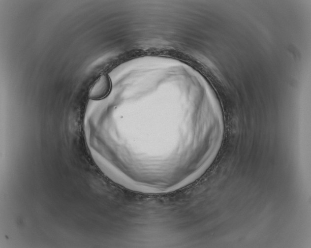 X0000113741063200910140959