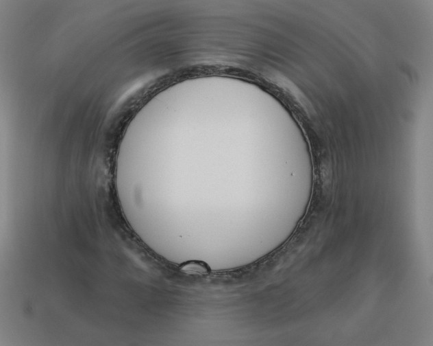 X0000113741064200910140959