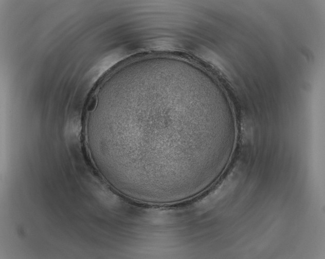 X0000113741065200910140959