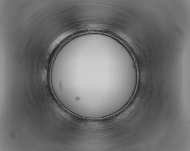 X0000113741066200910140959