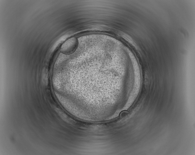 X0000113741067200910140958