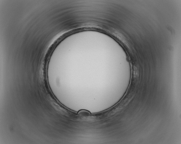 X0000113741068200910140958