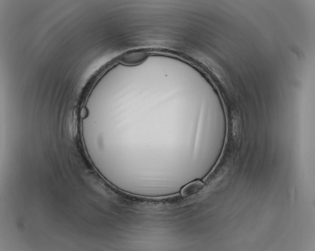 X0000113741069200910140958