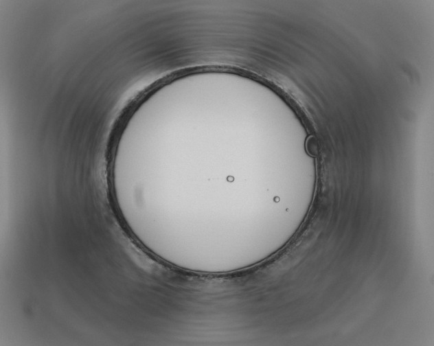 X0000113741072200910140958