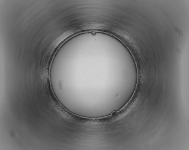 X0000113741073200910140958