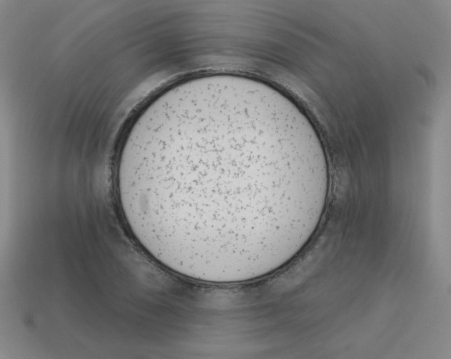 X0000113741074200910140958